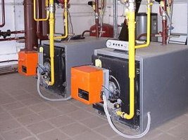Приобрести котлы протерм (protherm) по прибыльной стоимости, приобрести газовый котел протерм двухконтурные
